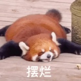 小张（摆烂版）
