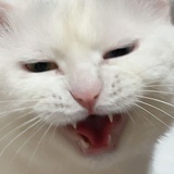 ·nana