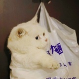 星战咖啡