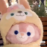 kitte