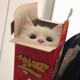 已注销