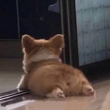 果汁儿