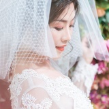 喜马拉雅山猴子