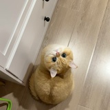 童话里的小矮人