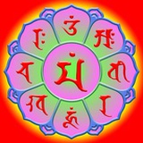 凡有所相