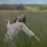 落花人独立