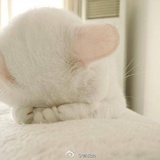 罹。