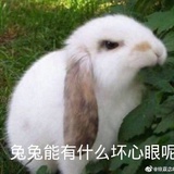 hro