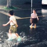 白日飞鸦