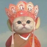 腻腻说