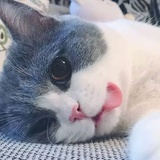 别看我了