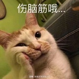 山月明