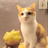 谁也不认识