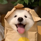 没事哒没事哒