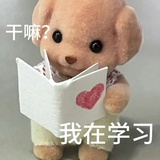 全姐鲨我