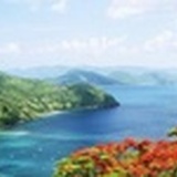 紫微斗数君