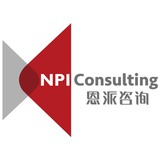 恩派咨询