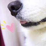 Lucia。
