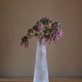 晓宇是猫