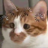 超弱小浣熊