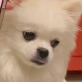 云一