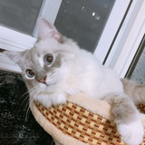 不是不饿