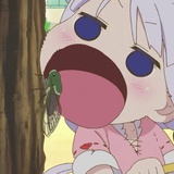 停了呢