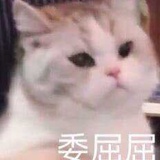 高贵丸妹