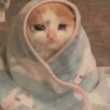 oqpeˢʳᵗᵖˣᵘiqpks