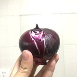 一个好厨子