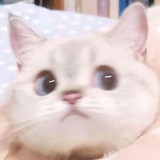 乔幺幺
