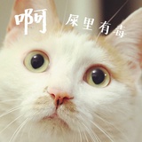 尼古拉斯估计