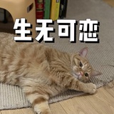 陈二妹