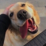 肠子