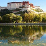 77旅行家