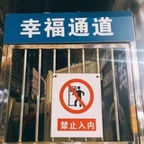 橘橘子