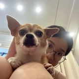 芝士焗生蚝