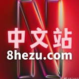 奈飞中文站