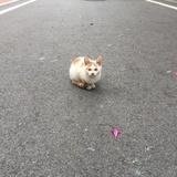 我的头比较铁