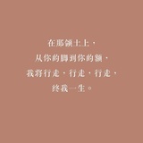 鲸鱼