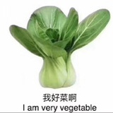 菜女想吃螺蛳粉