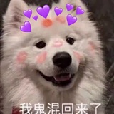 海底捞在逃员工