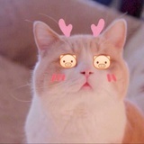 。