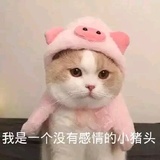 秋白