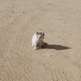 那咋了
