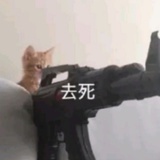 椒盐蛋白
