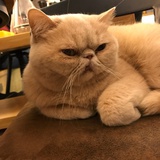 生杀丸
