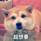 chloxcc