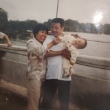 击地而死的鸟