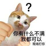 宇宙罐头